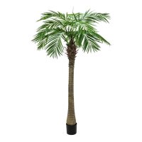 Phoenix palm tree luxor, 210cm