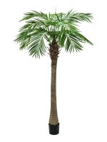 Phoenix palm tree luxor, 240cm