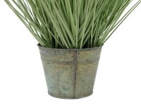 Ornamental grass, 65cm