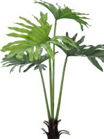 Split Philo Plant, 120cm