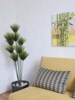 Papyrus plant, 150cm