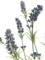 Lavender bush 61cm