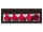 Chainmaster Kettenzugkontroller DGUV, V54/55 & D8+ (SQP2) Basic, 4 Kanal
