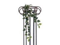 Philodendron Bush Classic, 70cm