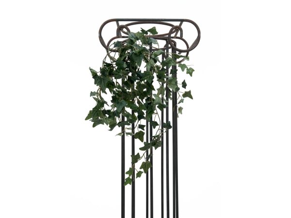 Ivy Bush Tendril Classic, 60cm