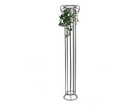 Ivy Bush Tendril Classic, 60cm