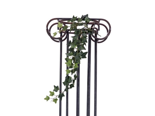 Ivy Bush Tendril Classic, 70cm