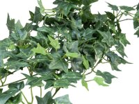 Ivy Bush Tendril Classic, 100cm