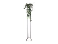 Ivy Bush Tendril Classic, 100cm