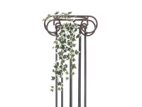 Holland Ivy Bush Tendril Classic, 70cm