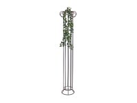 Philodendron Garland Classic, 180cm