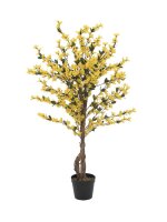 Forsythia tree with 4 trunks, yellow, 120 cm