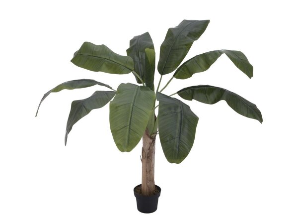 Europalms Bananenbaum, 100cm