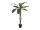 Banana tree, 145cm