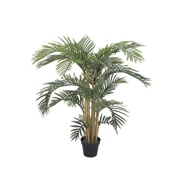 Kentia palm tree, 140cm