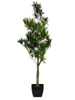 Europalms Steineibe, 90cm