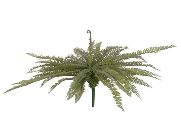 Boston fern, green, 70cm