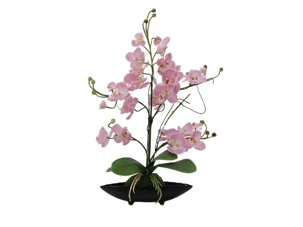 Orchideenarrangement EVA, lila