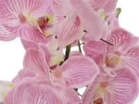 Orchideenarrangement EVA, lila