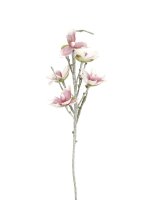 Magnolia branch (EVA), white pink