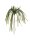Seagrass (EVA), green
