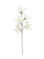 Clematis Branch (EVA), white