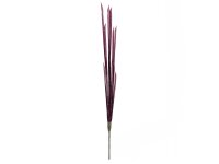 Magic Onion Stalks, rose, 134cm