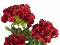 Geranium red 42cm