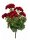 Geranium red 42cm