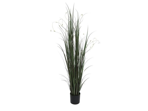 Willow branch grass, 183cm