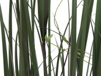 Willow branch grass, 183cm