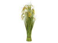 Reed Grass Bunch 118cm