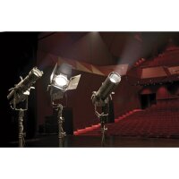 Infinity TS-300 Profile Engine, 300 Watt LED, 3200K warmweiss, ohne Optik