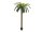 Phoenix palm deluxe, artificial plant, 250cm