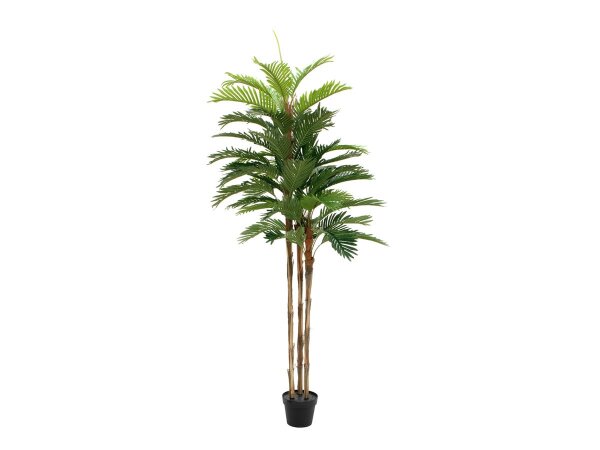 Kentia palm tree, artificial plant, 180cm