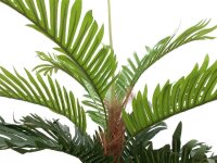 Kentia palm tree, artificial plant, 180cm