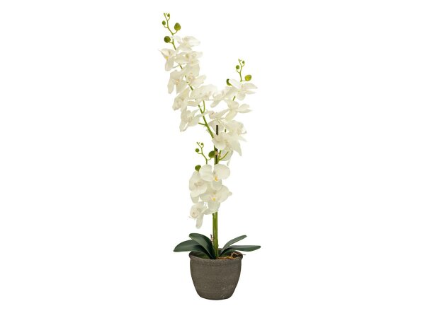 Orchidee, Kunstpflanze, cremefarben, 65cm