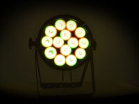 Eurolite LED IP PAR 14x8W QCL