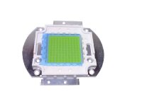 LED COB 100W CW (JX-SPEC-WW-0100)