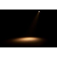 ADJ Encore FR20 DTW, LED-Theaterscheinwerfer, 17 Watt LED, 3000k warmweiss, dimmbar