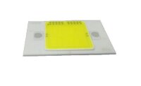 LED COB 30W WW FL-30 (DRD-HW-S101)