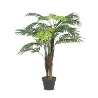 Areca Palme 13 Blätter-Zementtopf 120cm