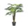 Areca Palme 13 Blätter-Zementtopf 120cm