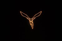 Laserworld Cube 3, 3000mW Laser, akkubetrieben, Bluetooth-APP, DMX, Stand-Alone (Musik), ILDA