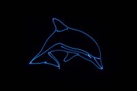 Laserworld Cube 3, 3000mW Laser, akkubetrieben, Bluetooth-APP, DMX, Stand-Alone (Musik), ILDA