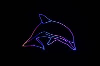 Laserworld Cube 3, 3000mW Laser, akkubetrieben, Bluetooth-APP, DMX, Stand-Alone (Musik), ILDA