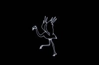 Laserworld Cube 7, 7000mW Laser, akkubetrieben, Bluetooth-APP, DMX, Stand-Alone (Musik), ILDA