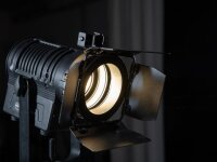 Eurolite AKKU THA-20PC TRC Theater-Spot schwarz