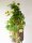 Grape bush, premium, artificial, 50cm