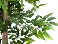 Ficus Longifolia, Kunstpflanze, 165cm